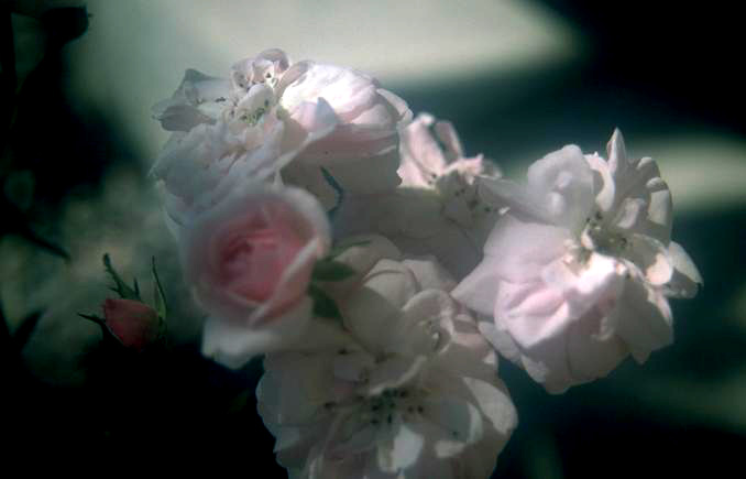 P087.JPG