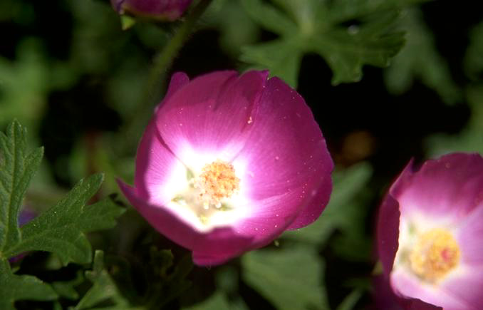 PHOTO107.JPG