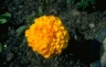thm_P043.jpg