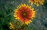 thm_P094.jpg