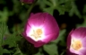 thm_PHOTO107.jpg
