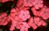 thm_PHOTO119.jpg
