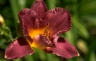 thm_PHOTO124.jpg