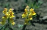 thm_PHOTO136.jpg